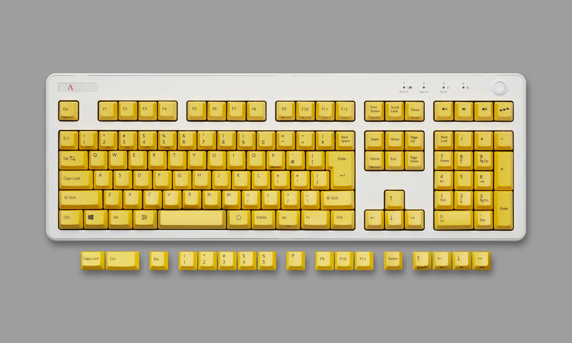 製品 : REALFORCE R3 / R3S カラーキーキャップセット | REALFORCE 製品 : REALFORCE R3 / R3S カラーキーキャップセット | REALFORCE
