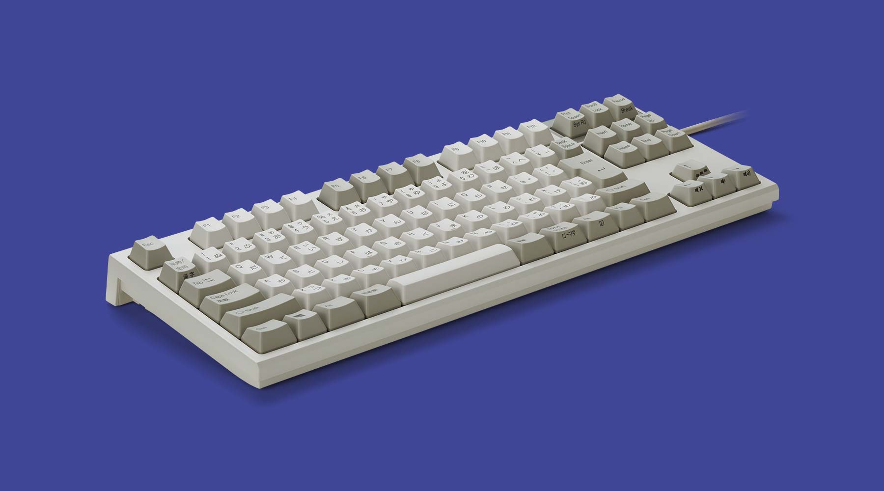 製品 : REALFORCE TKL A / R2TLA-JPV-IV | REALFORCE | 日本製